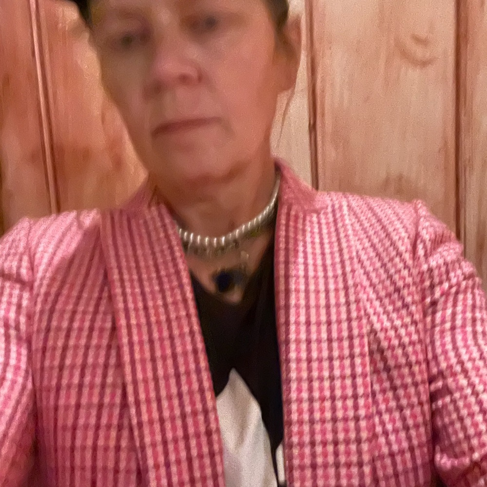 J.Crew pink checked wool blazer NWT - Picture 5 of 6